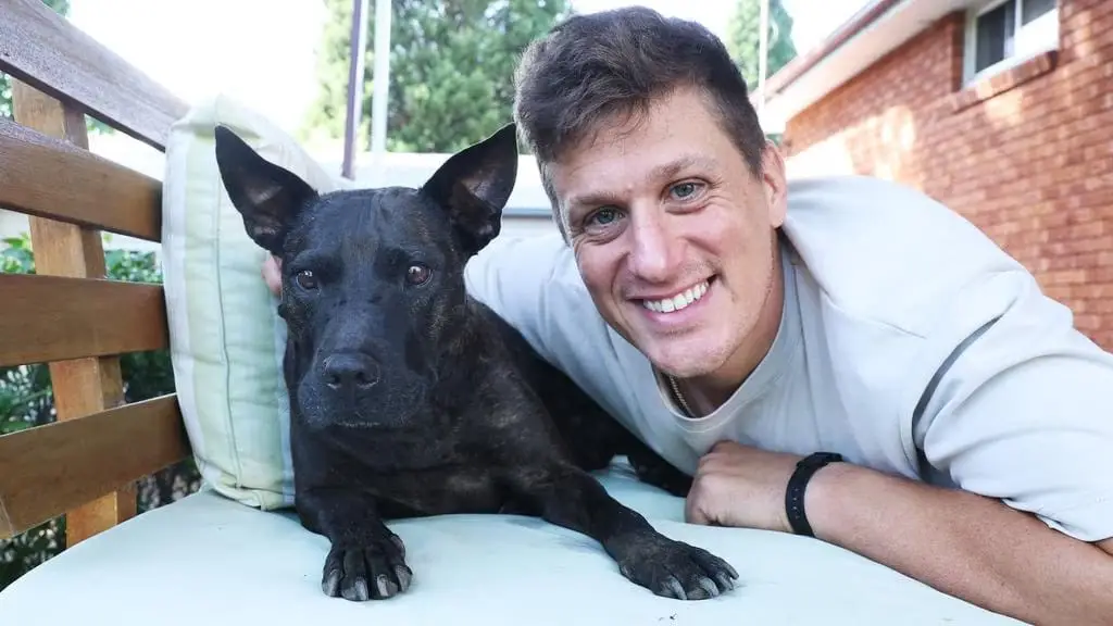 Data scientist uses AI and ChatGPT to create cancer vaccine for his dying dog
