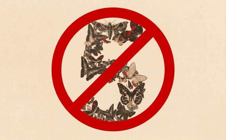 ‘Fix this code.’ The three words that led the U.S. government to ban Anthropic’s Fable and Mythos